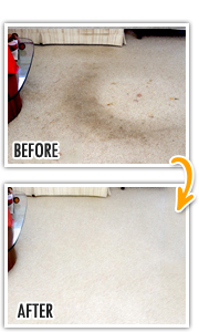 Carpet Stain Removal