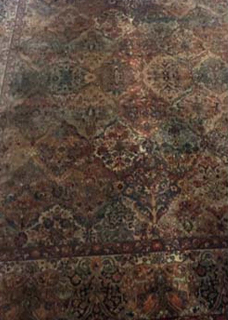 Rug Before Cleaning